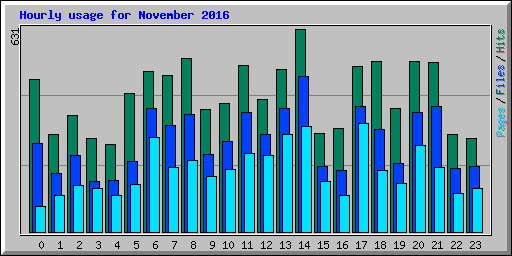 Hourly usage for November 2016