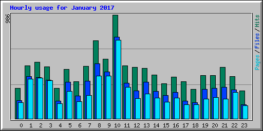 Hourly usage for January 2017