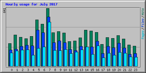 Hourly usage for July 2017